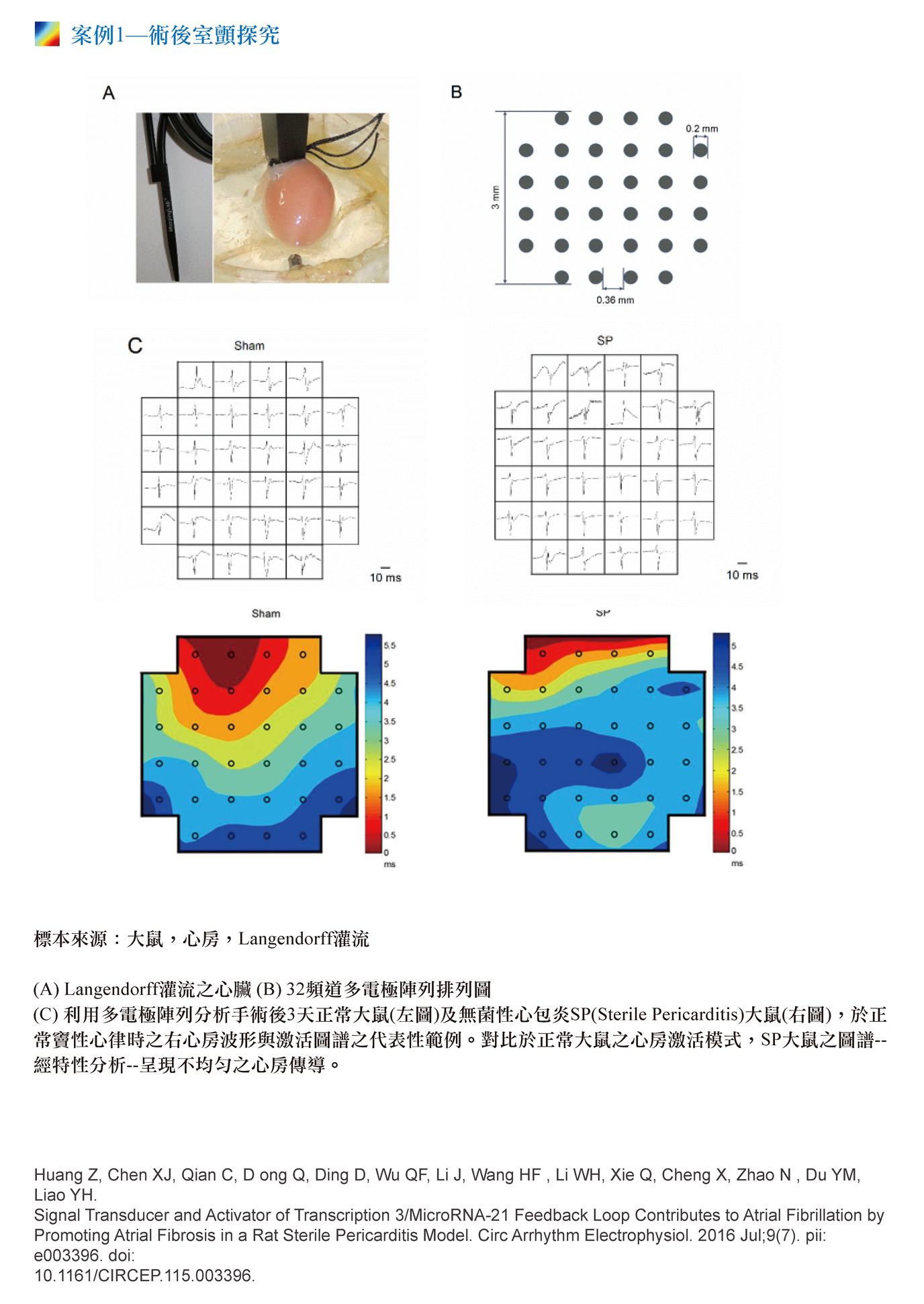 MappingLab EMS多電極陣列電生理標測系統 - upwards p5