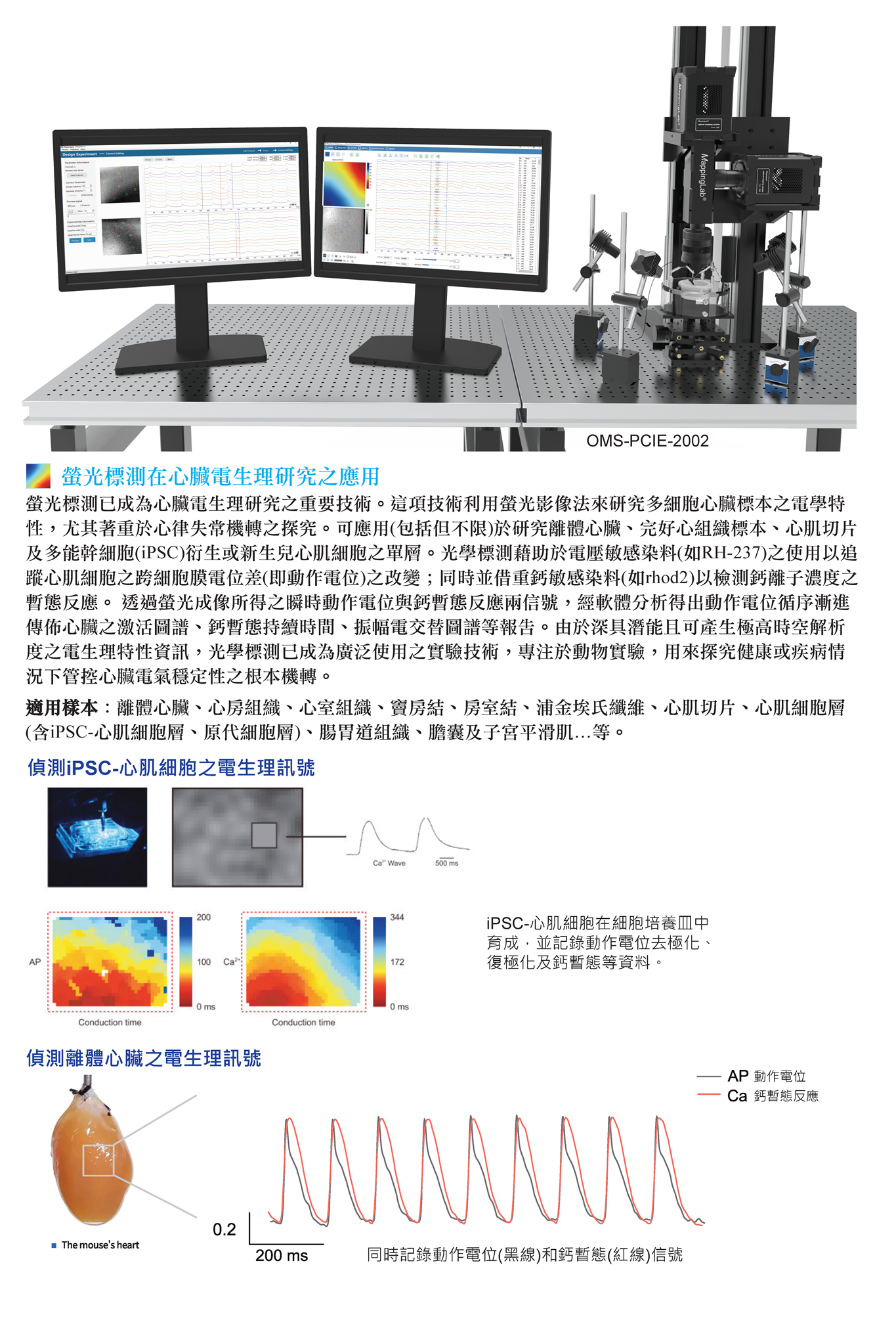 MappingLab OMS螢光標測系統 - upwards p1