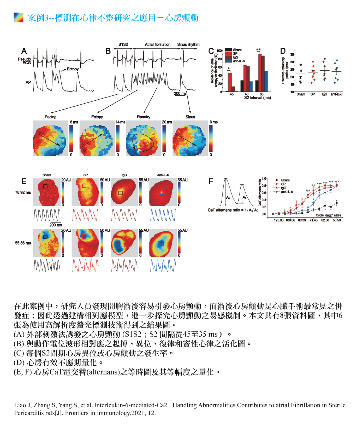 MappingLab OMS螢光標測系統 - upwards p8